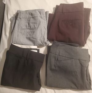 Women's Assorted Pants Set - Gray, Black, Brown 0p 0 0s Loft Anne Klein Express